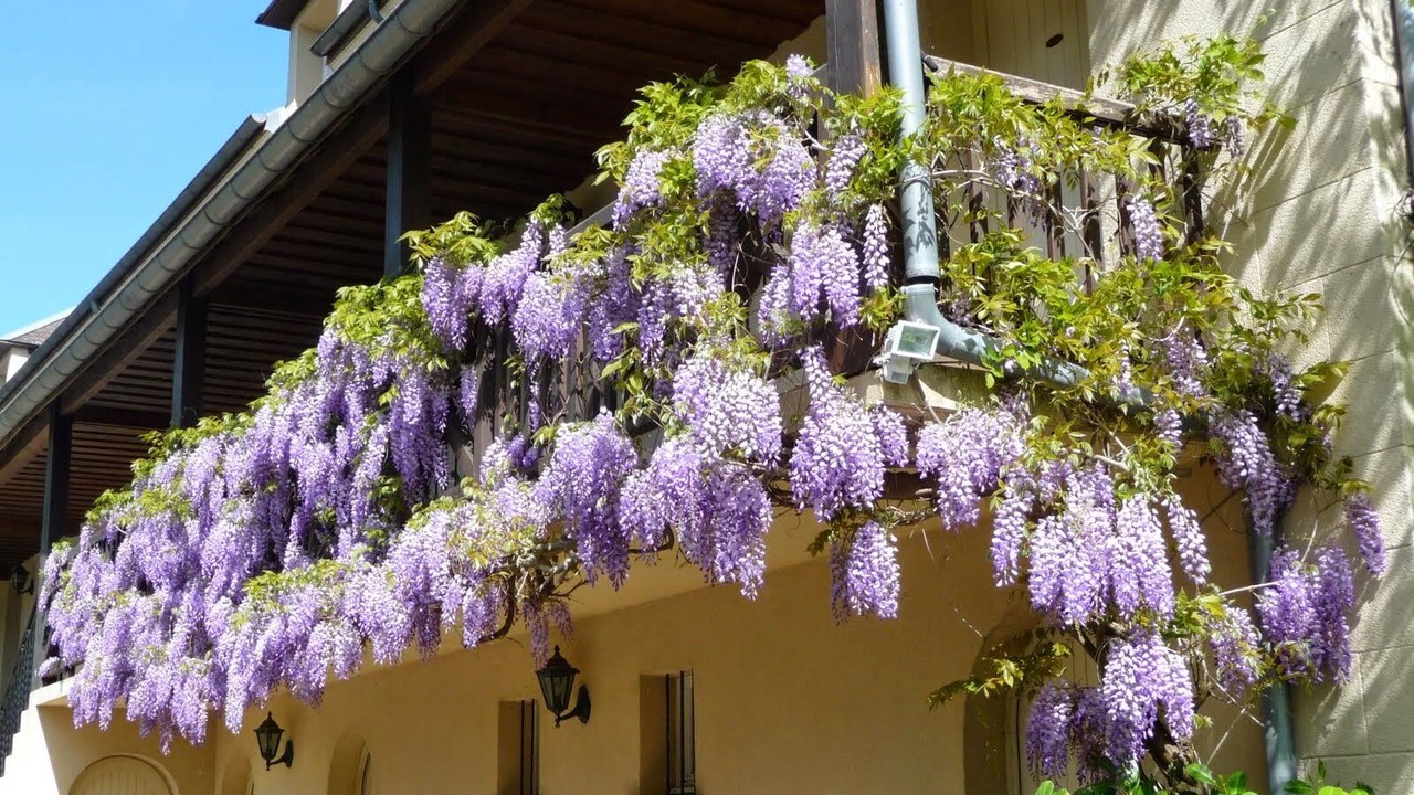 Photo of Outdoor in Montignac