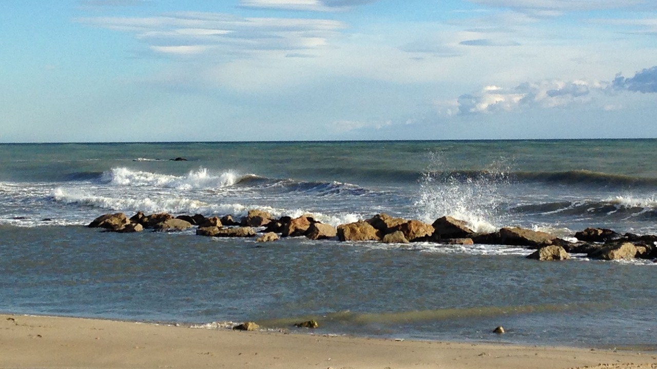 Photo of Others in Saintes-Maries-de-la-Mer