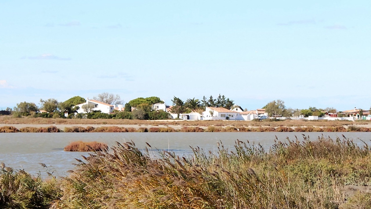 Photo of Others in Saintes-Maries-de-la-Mer