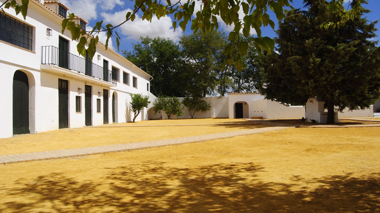 Photo of Outdoor in Llerena