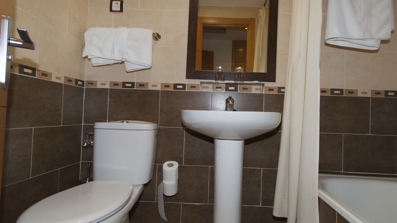 Photo of Bathroom in San Fernando de Henares