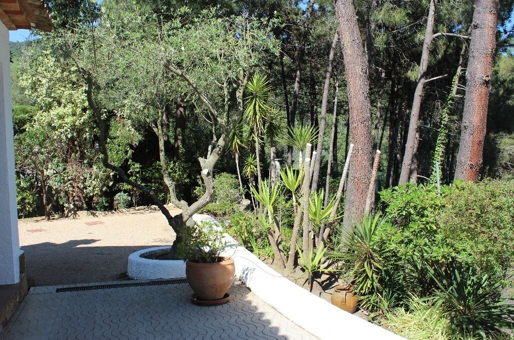 Photo of Outdoor in Santa Cristina de Aro