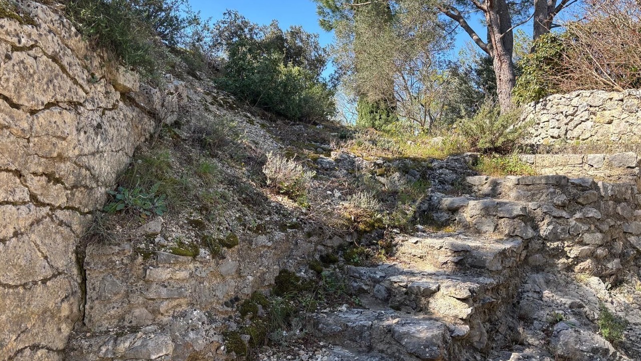 Photo of Outdoor in Maussane-les-Alpilles