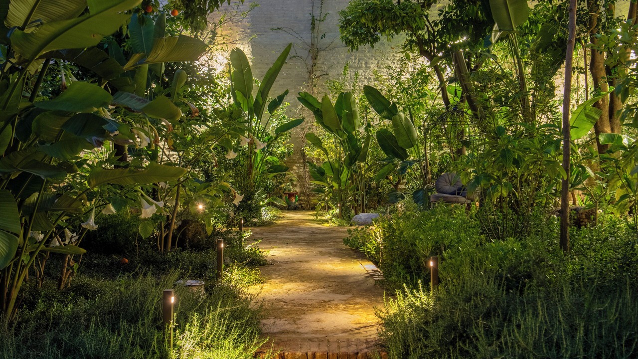 Photo of Outdoor in Santa Cruz