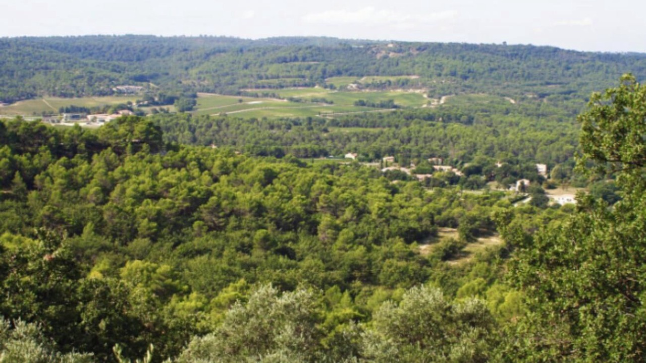 Photo of Others in Le Puy-Sainte-Reparade