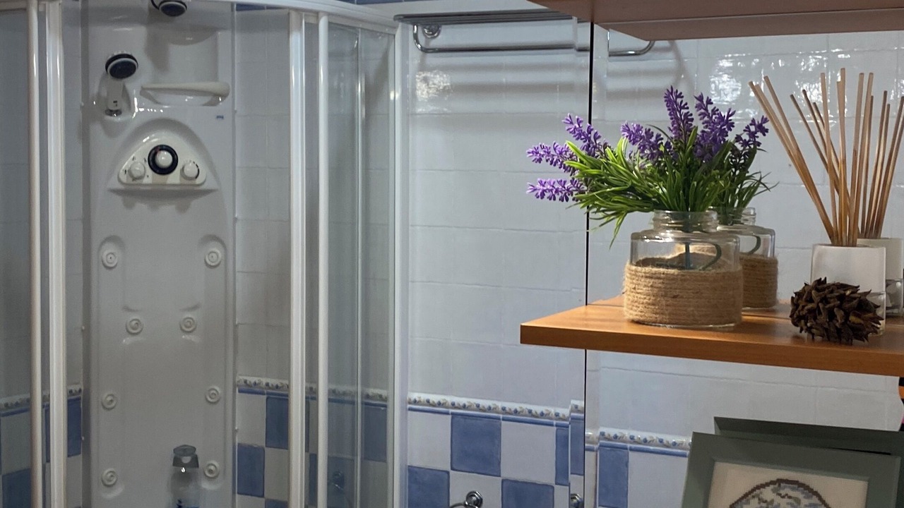 Photo of Bathroom in Alzira