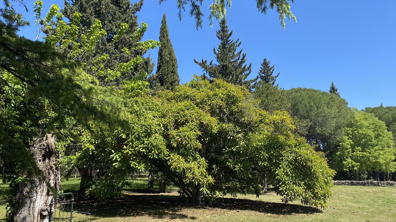 Photo of Outdoor in Uzes
