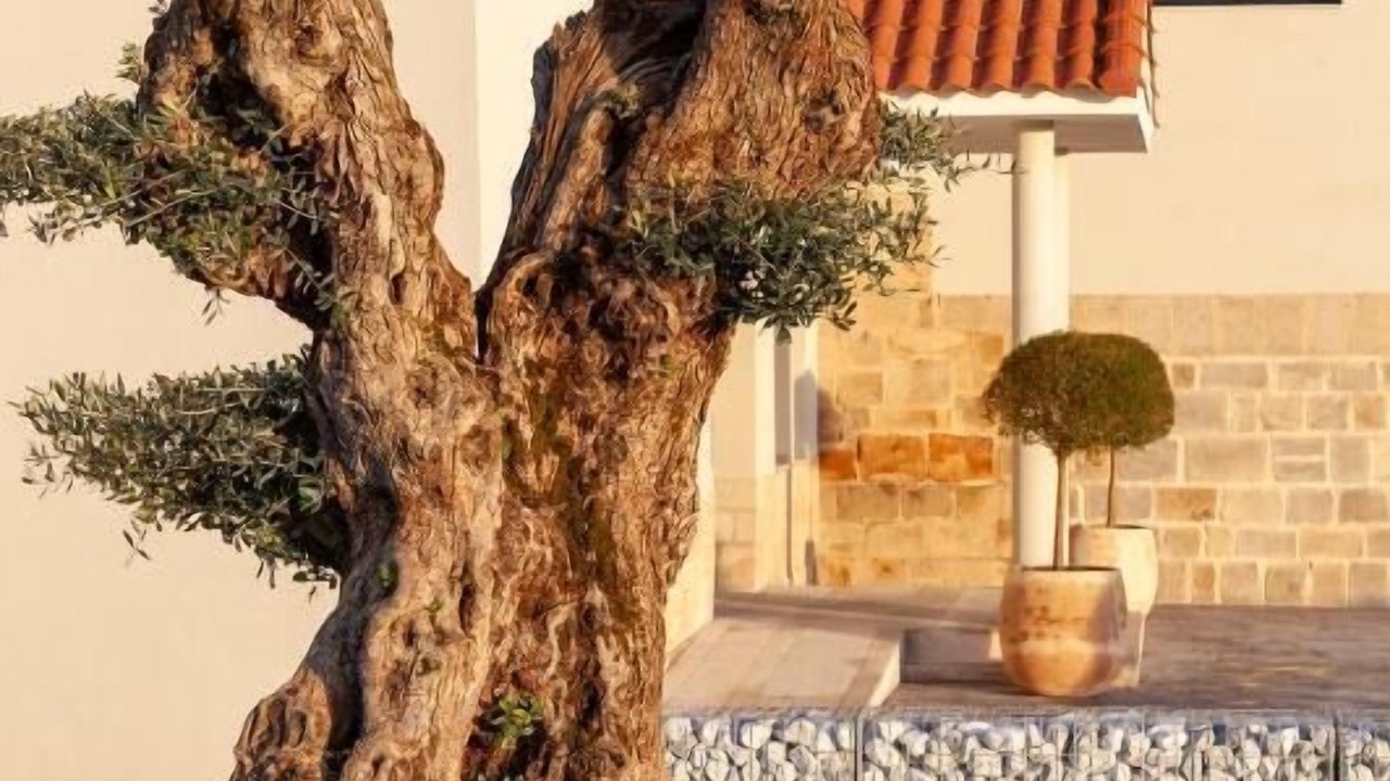 Photo of Outdoor in Miajadas