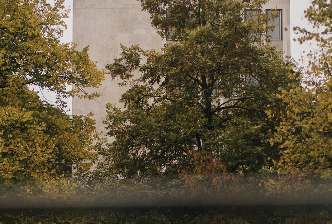 Photo of Others in Innenstadt