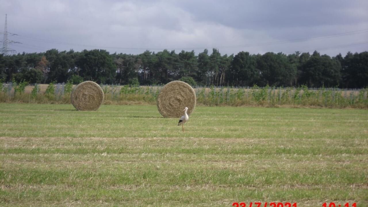 Photo of Others in Lindwedel