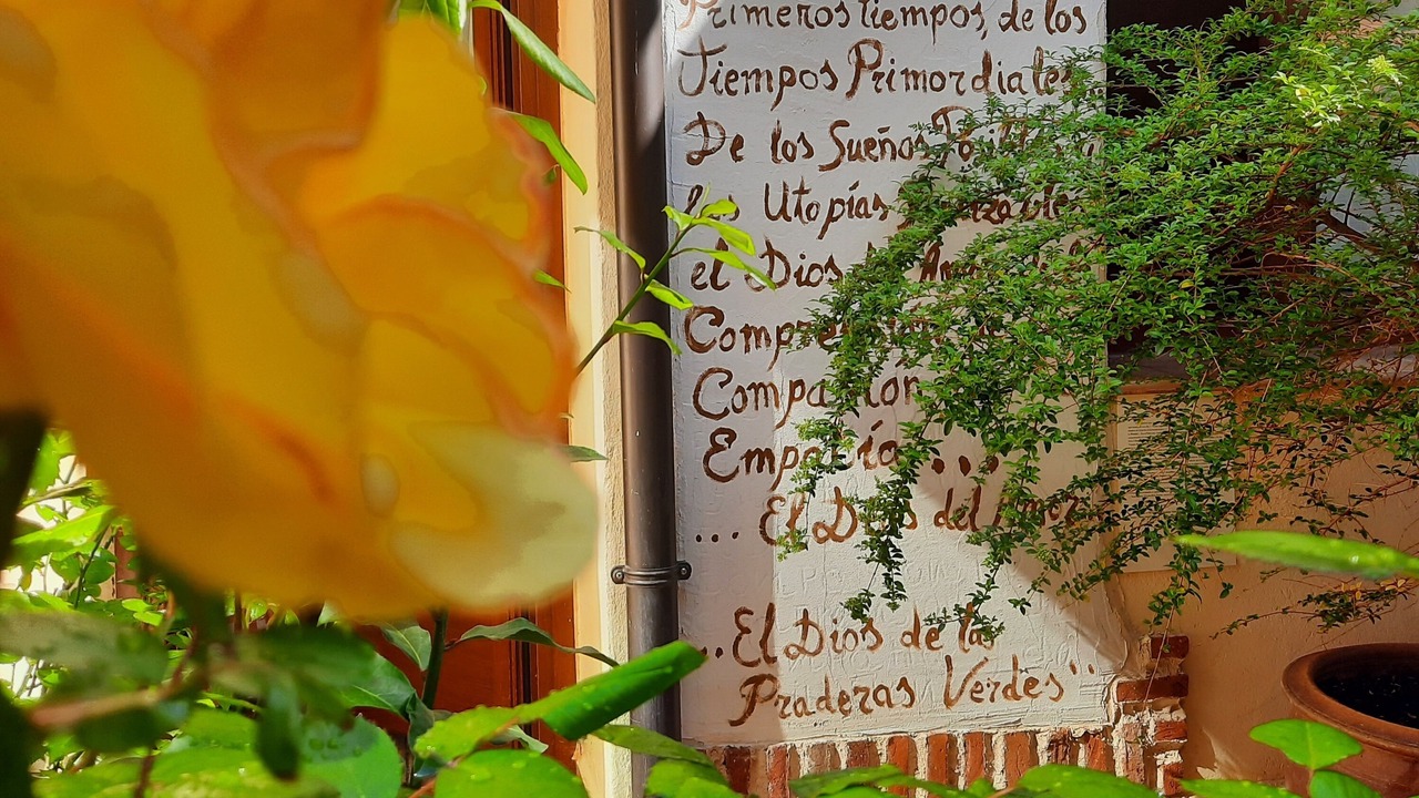 Photo of Outdoor in Castronuno