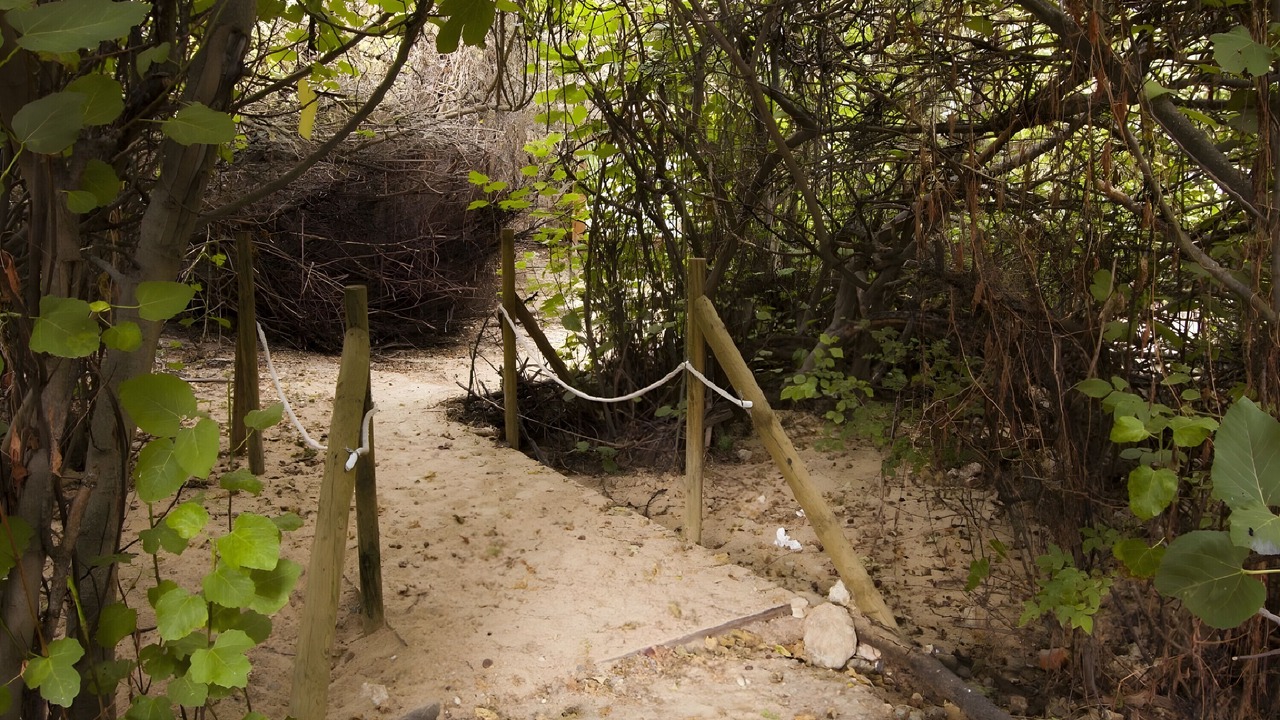 Photo of Outdoor in Castronuno