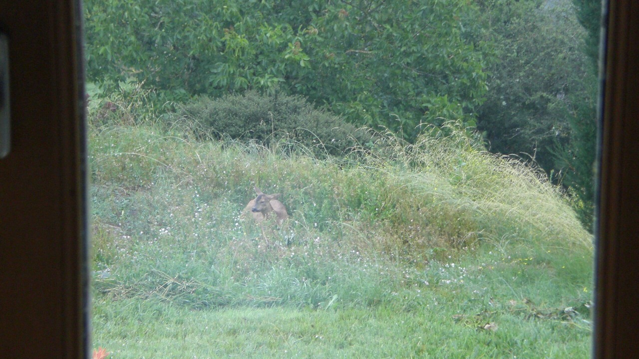 Photo of Others in Martrin