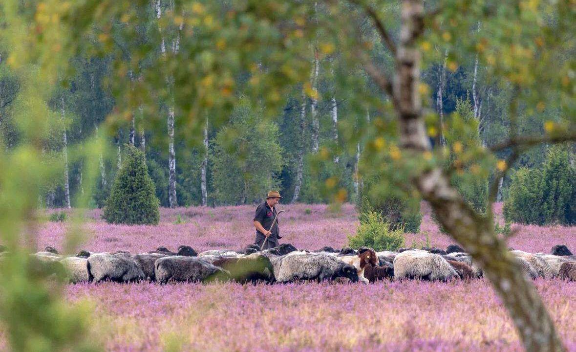 Photo of Others in Hademstorf