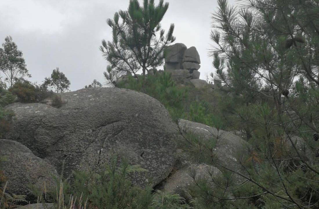 Photo of Others in Boiro