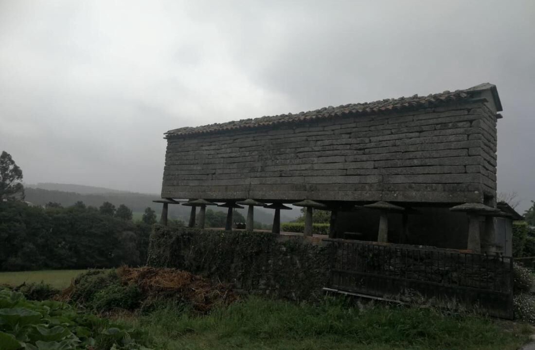 Photo of Others in Boiro