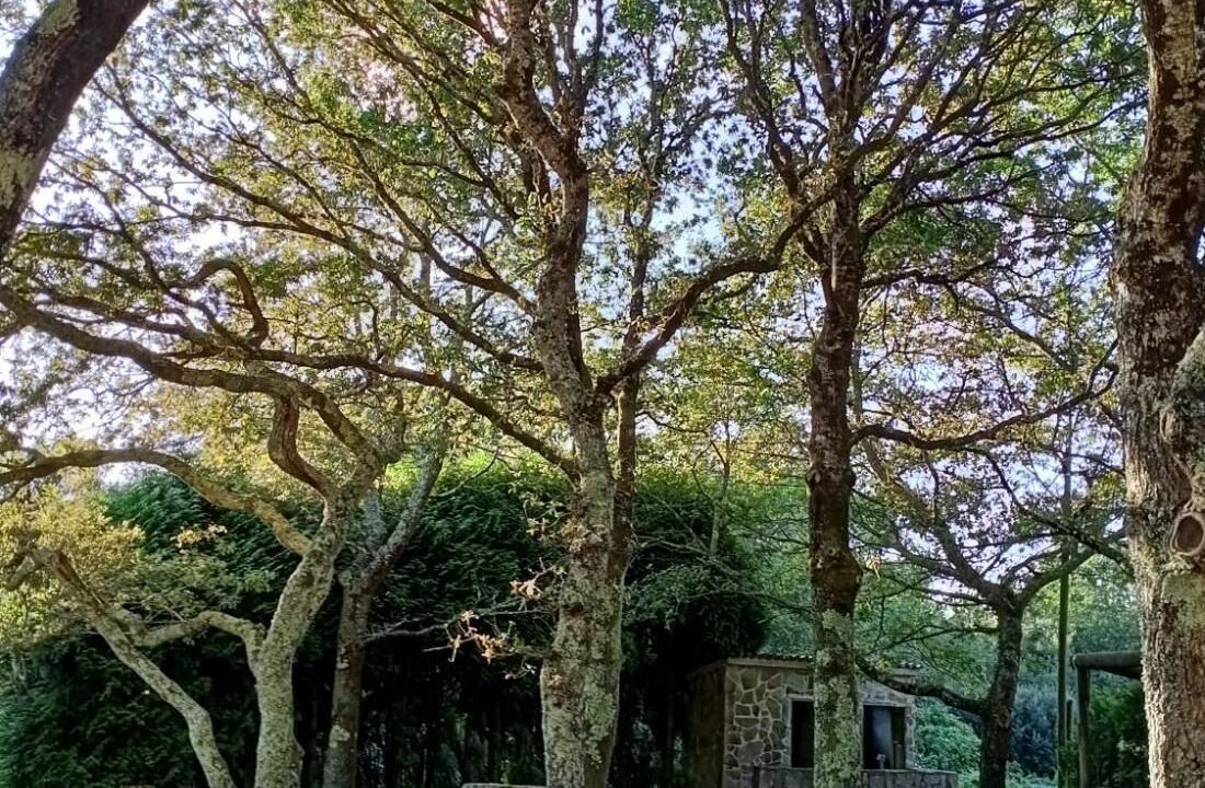 Photo of Outdoor in Boiro
