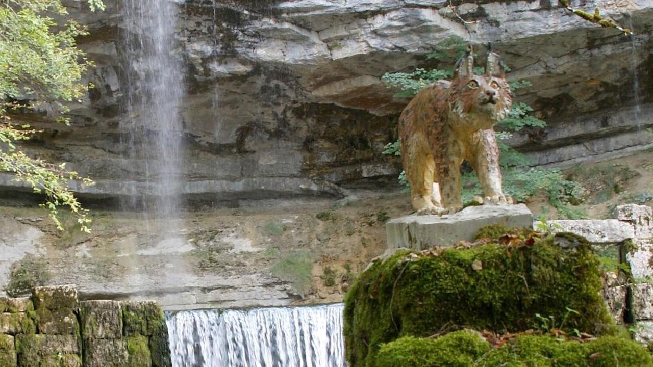 Photo of Outdoor in La Chaux-du-Dombief
