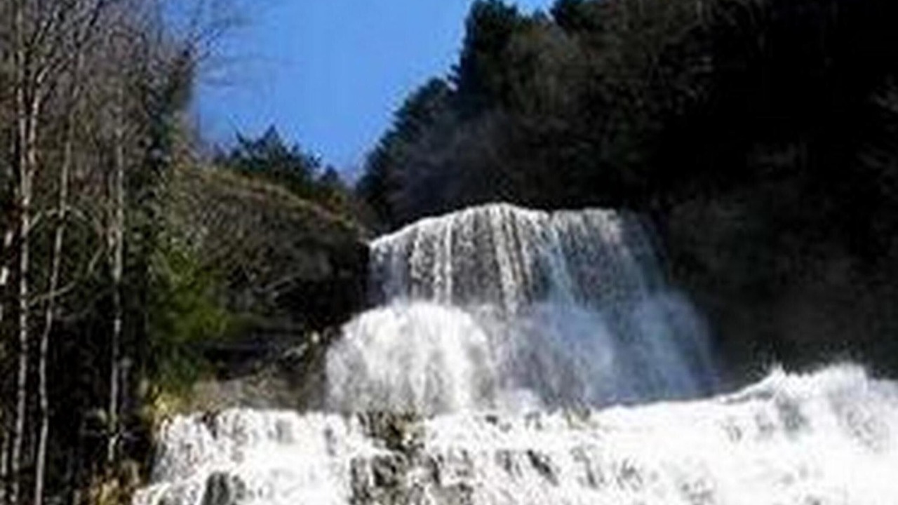 Photo of Outdoor in La Chaux-du-Dombief