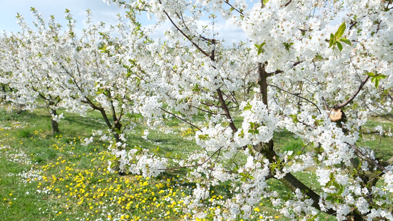 Photo of Outdoor in Kriftel