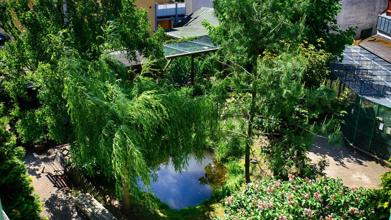 Photo of Outdoor in Seebad Bansin