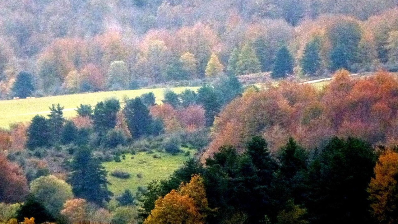 Photo of Others in Abaurrea Alta
