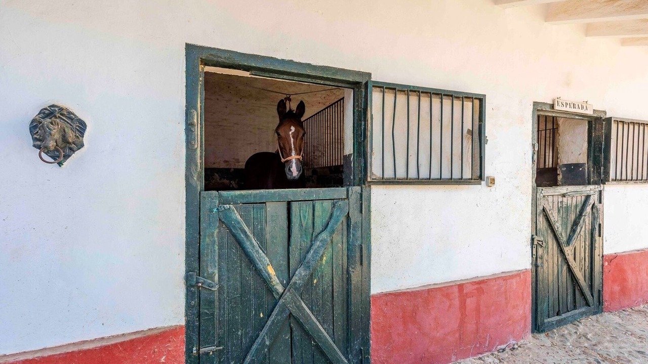 Photo of Outdoor in Aznalcazar