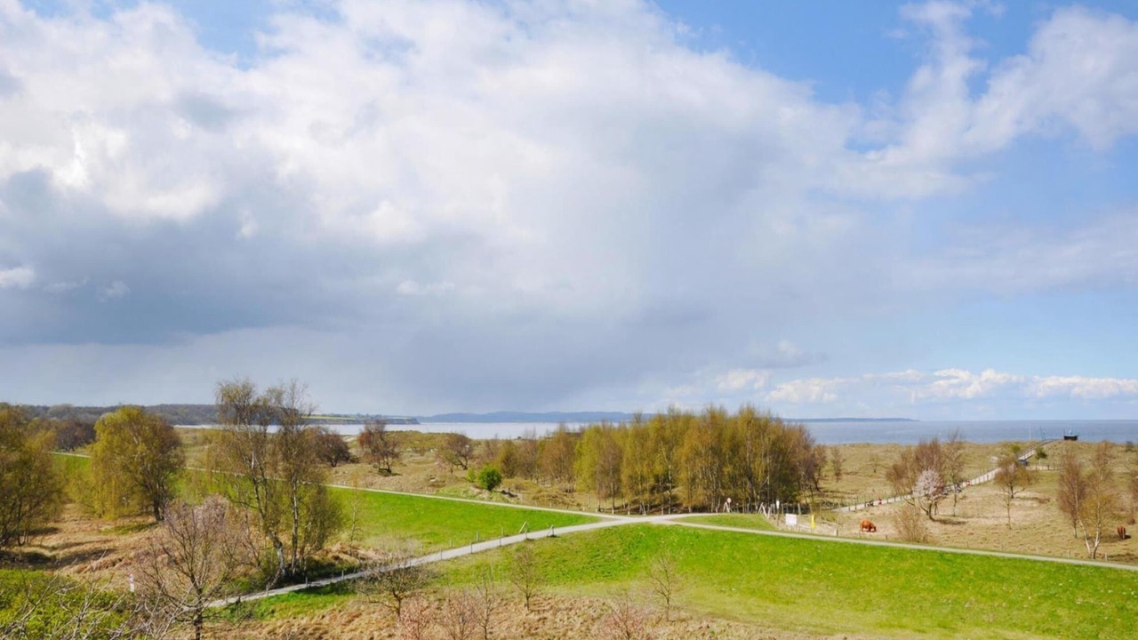 Photo of Others in Weissenhaeuser Strand