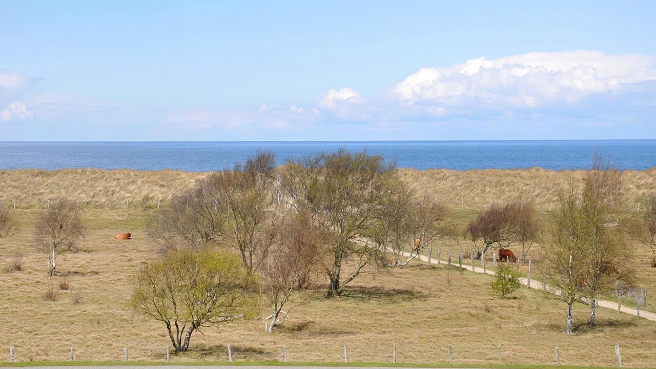 Photo of Others in Weissenhaeuser Strand