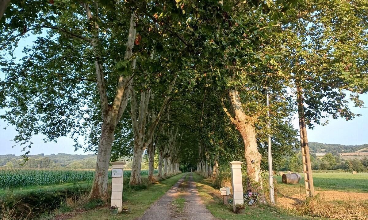 Photo of Outdoor in Sariac-Magnoac