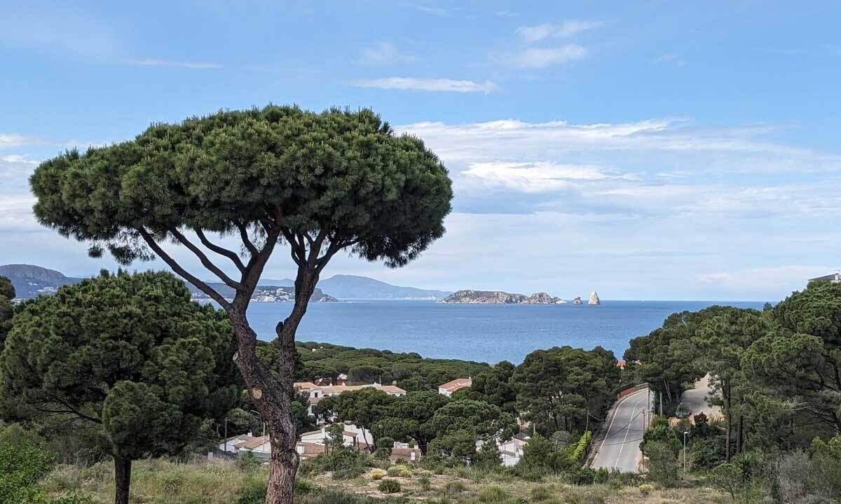 Photo of Bedroom in Begur