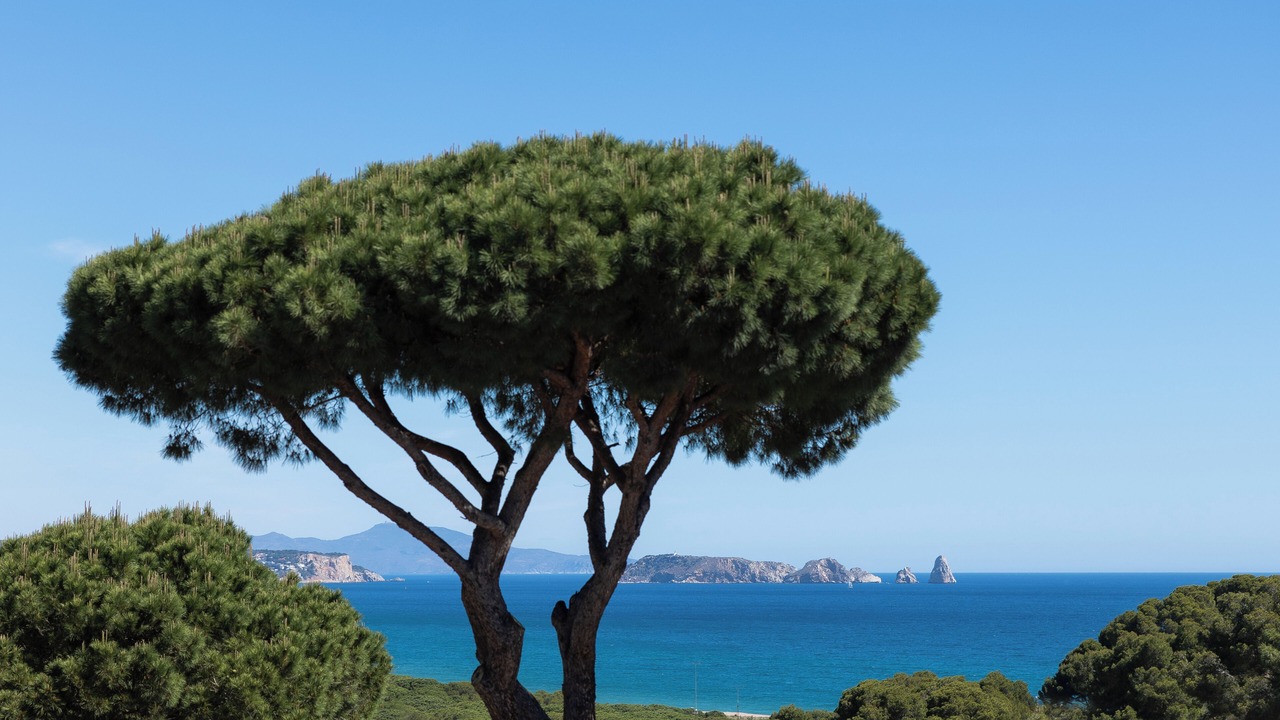 Photo of Others in Begur