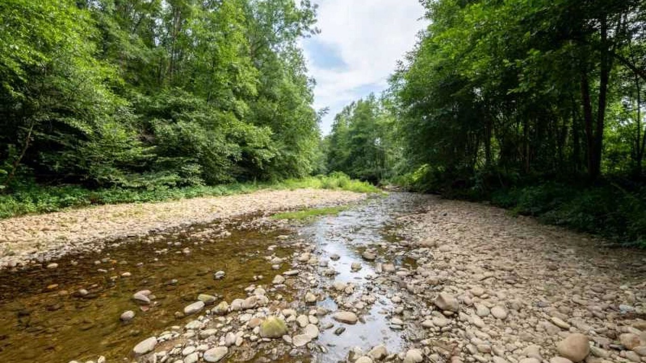 Photo of Outdoor in Vernioz