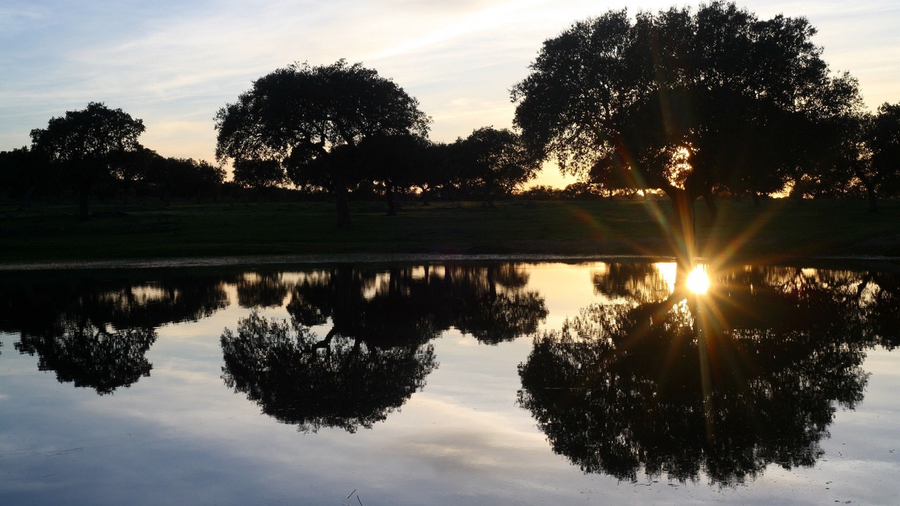 Photo of Outdoor in Torrejon El Rubio