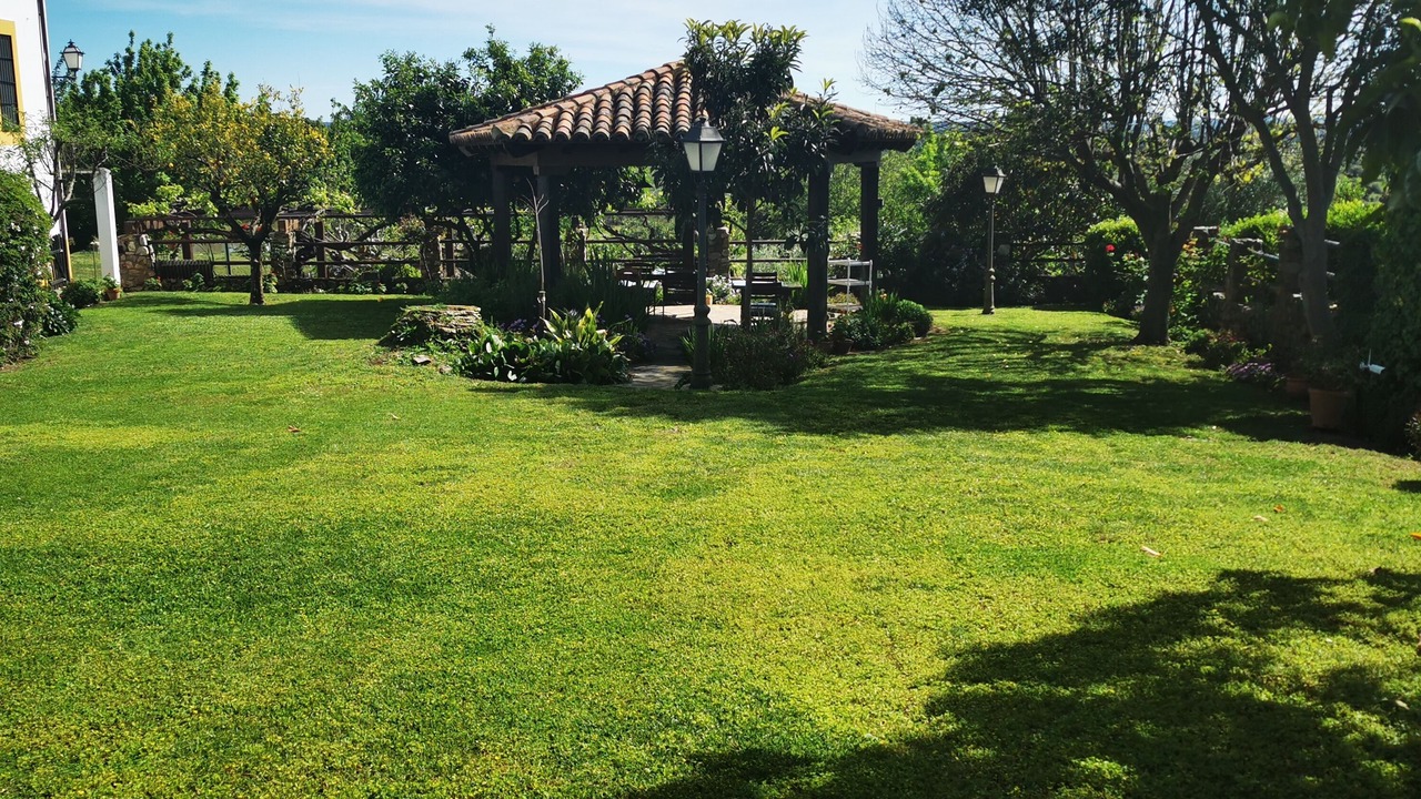 Photo of Outdoor in Torrejon El Rubio