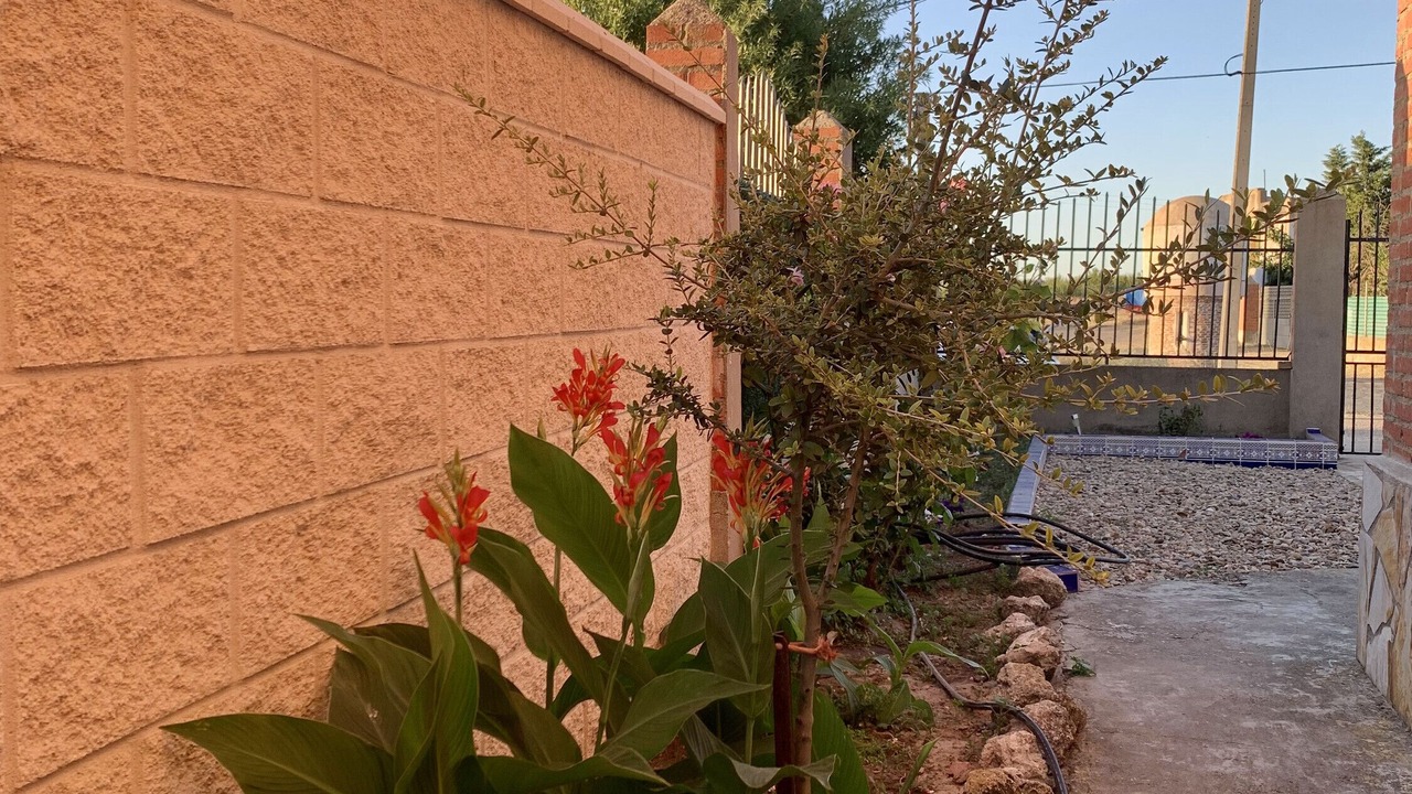 Photo of Outdoor in Alaejos