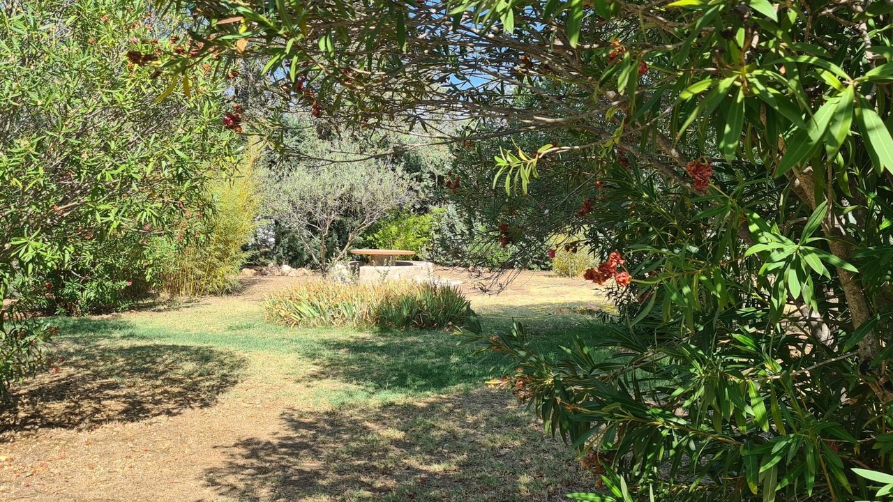 Photo of Outdoor in San Roman de Los Montes