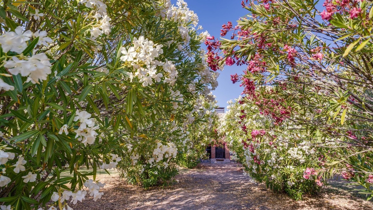 Photo of Outdoor in San Roman de Los Montes