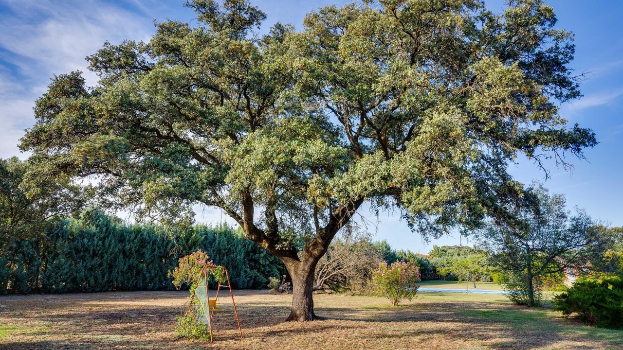 Photo of Outdoor in San Roman de Los Montes
