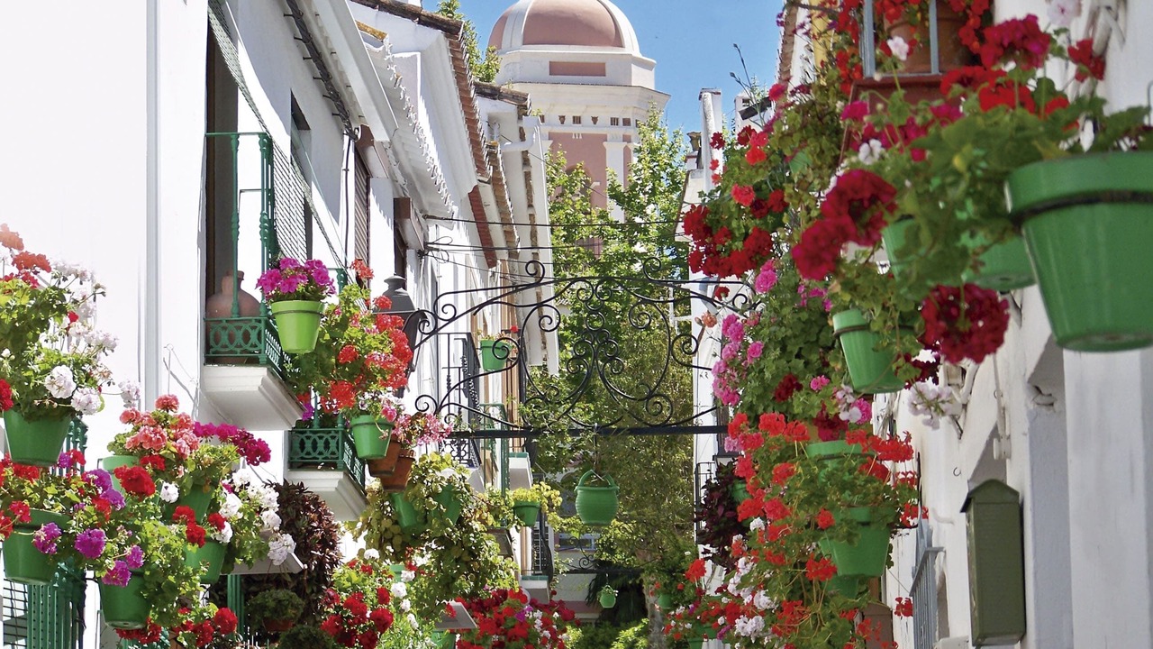 Photo of Others in Casares