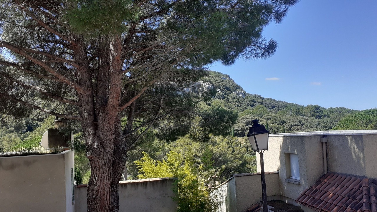 Photo of Outdoor in Paradou