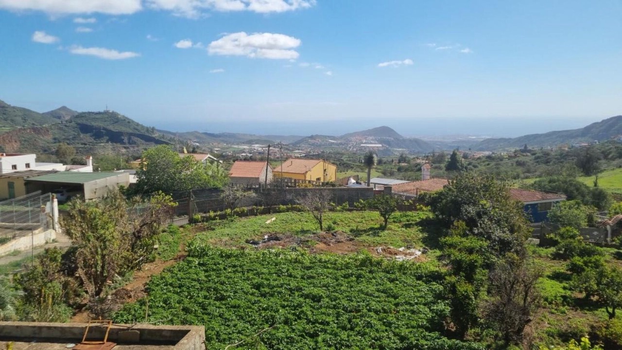 Photo of Others in Tenteniguada