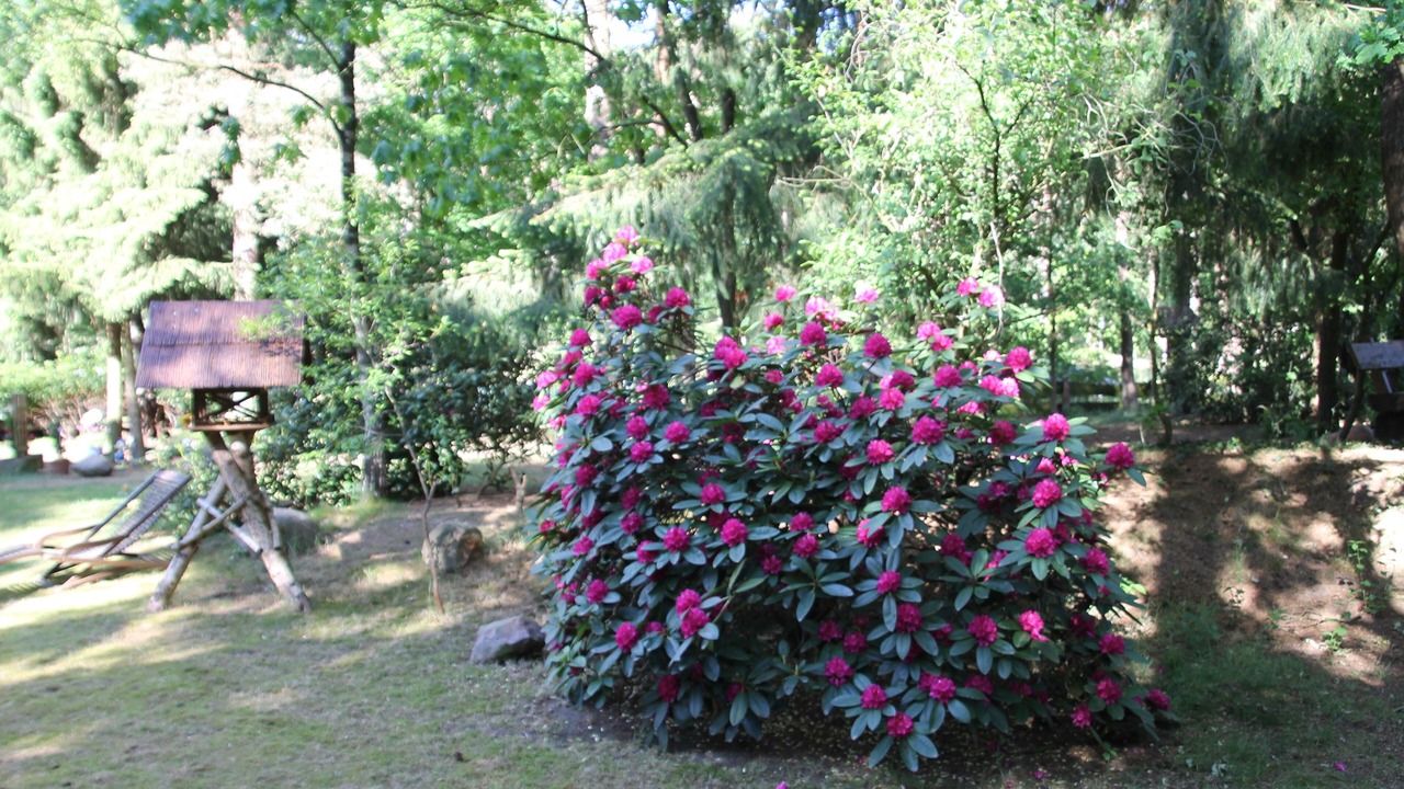 Photo of Outdoor in Hatten