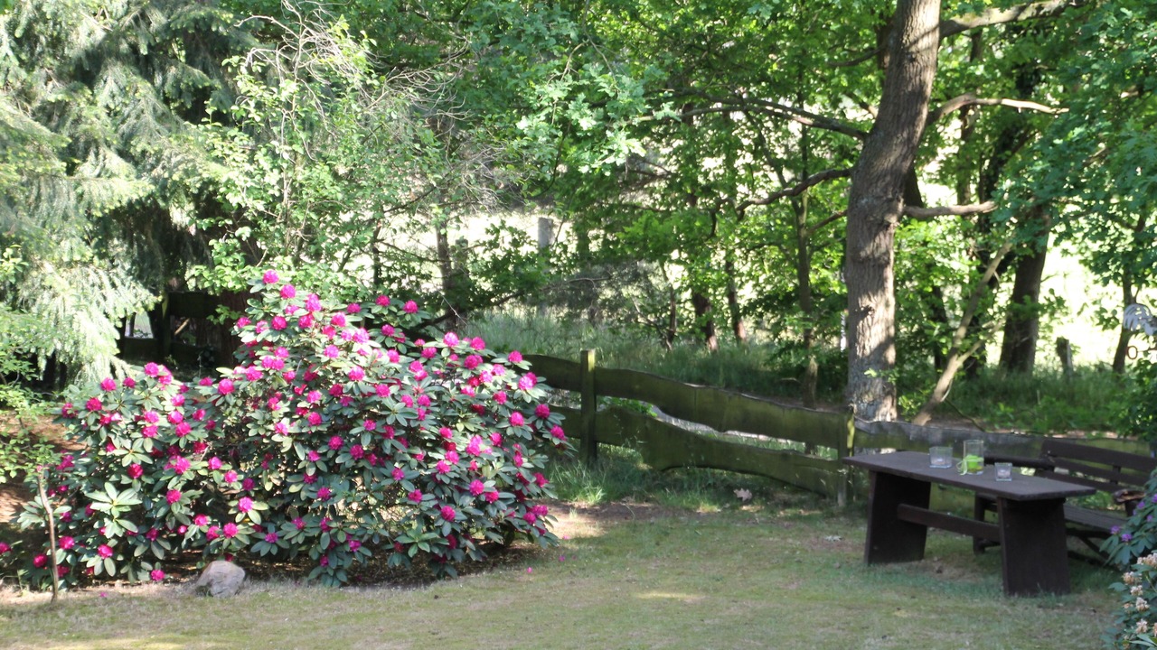 Photo of Outdoor in Hatten
