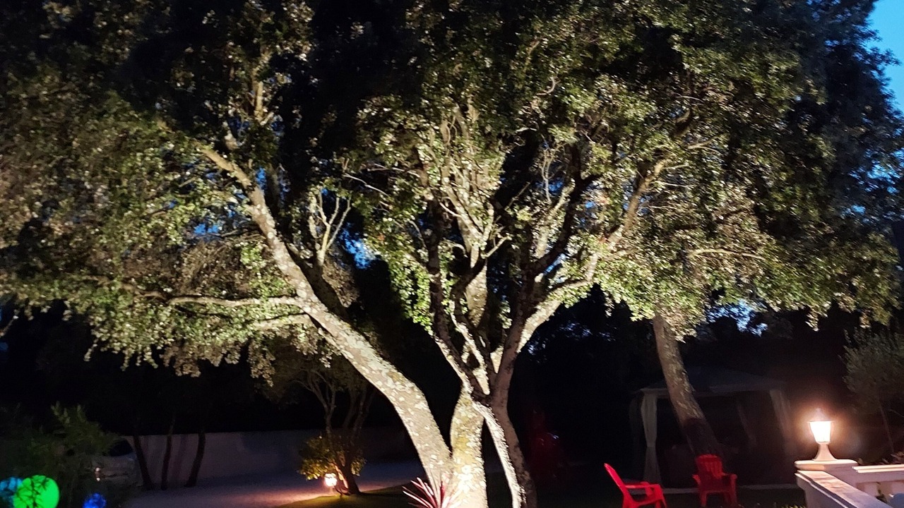 Photo of Outdoor in Poulx