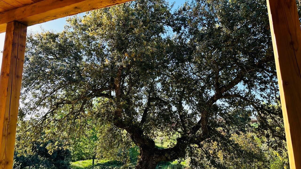 Photo of Outdoor in Nuno Gomez