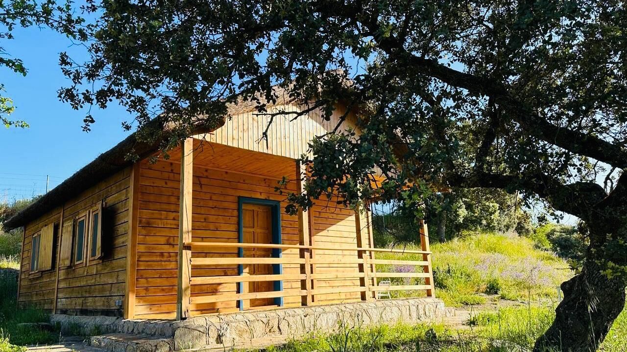Photo of Outdoor in Nuno Gomez