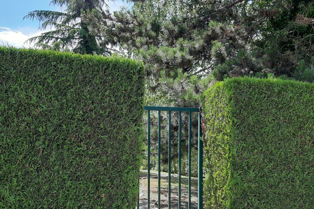 Photo of Outdoor in Ferney-Voltaire
