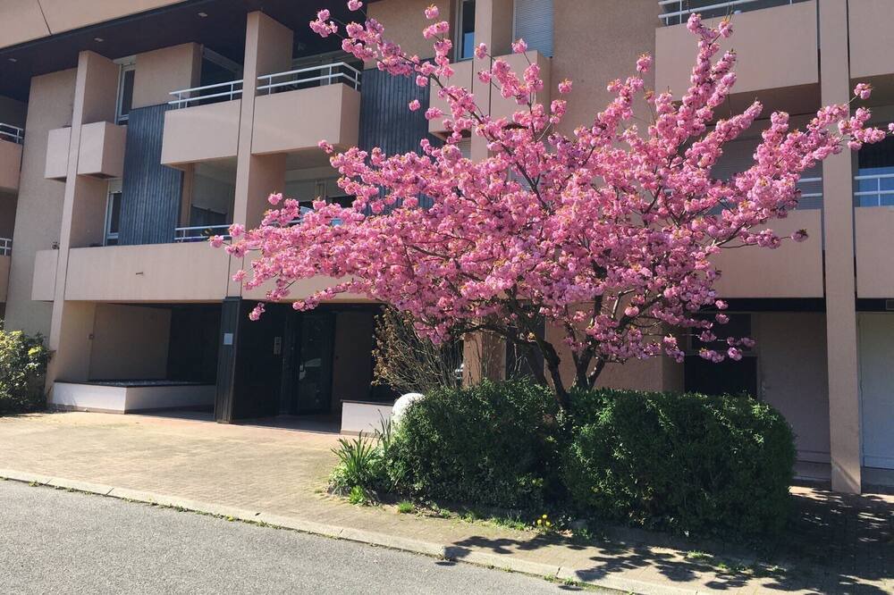 Photo of Outdoor in Ferney-Voltaire