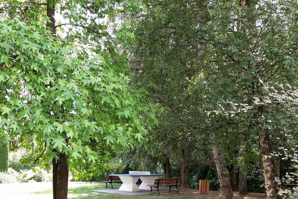 Photo of Outdoor in Ferney-Voltaire